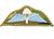 MTP Para Wings Parachute Regiment MTP Combat Wings - thumbnail image 2