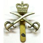 Next product: Army Physical Training Corps Cap Badges