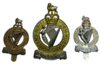 Queen Royal irish Hussars
