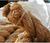 Rope Naval Issue Fibre Manila military issue rope New Strong Rope per metre - thumbnail image 3