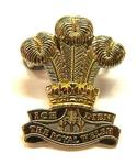 Previous product: The Royal Welsh Cap Badge Formed March 2006
