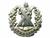 Cameron Highlanders Scottish Cap badge
