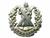 Cameron Highlanders Scottish Cap Badge - thumbnail image 2
