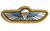 Special Air Service Parachute Trained Wings - thumbnail image 2