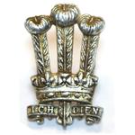 welsh infantry brigade