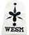 Naval Badge WESM weapons engineer submariner naval cloth badge - white working dress