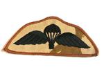 Desert Para Wings