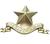 1st Cameronians Scottish Cap Badge - thumbnail image 2