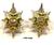 Worcestershire and Sherwood foresters Cap badges